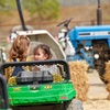 Image 3: 36% Off Pumpkin Patch Admission: Hana Field by Tanaka Farm