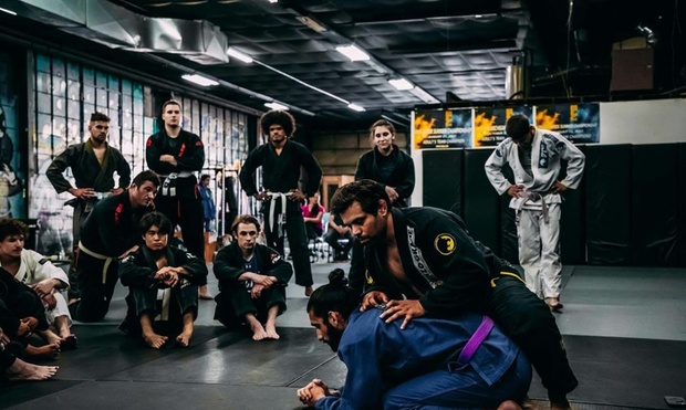 What to expect media