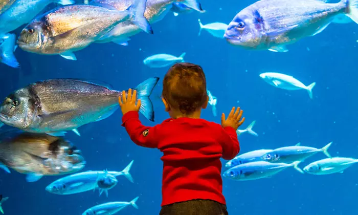 Découvrir la richesse du monde sous-marin de l'Aquarium de Paris durant toute l'année - Primary Image