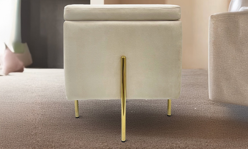 Image 2: Lapo puf contenedor de terciopelo 