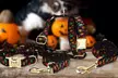 Personalisierbares Haustier-Halsband im Halloween-Design (80% sparen) - Image 5