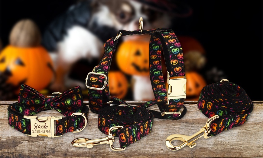 Image 5: Personalisierbares Haustier-Halsband im Halloween-Design