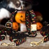 Image 5: Personalisierbares Haustier-Halsband im Halloween-Design