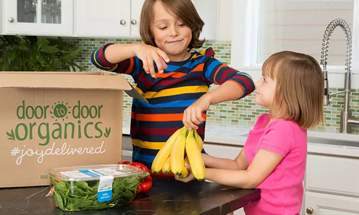 One Week of Organic Produce Box Subscription from Door to Door Organics (Up to 50% Off) - Primary Image