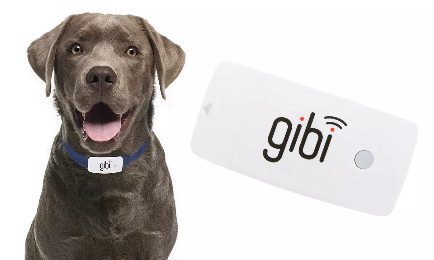 Gibi GPS Pet Locator and Tracking Device - Primary Image