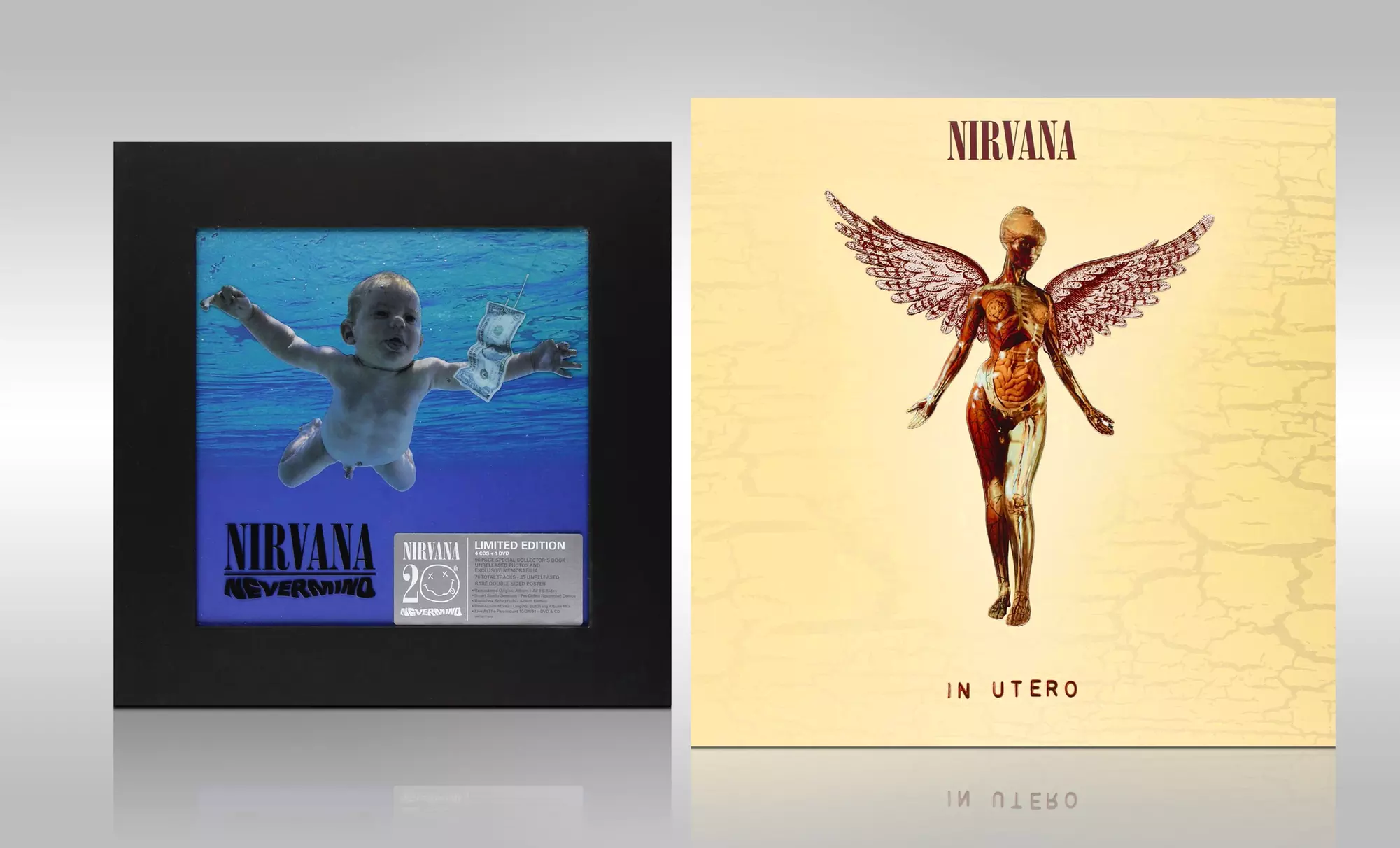 Nirvana Nevermind or In Utero Deluxe CD/DVD Box Sets - Primary Image