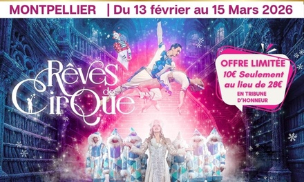 1 place en tribune d'honneur pour "Rêves de cirque" : le 13 février 2026 / 19h30 - Teatro Circo Classico