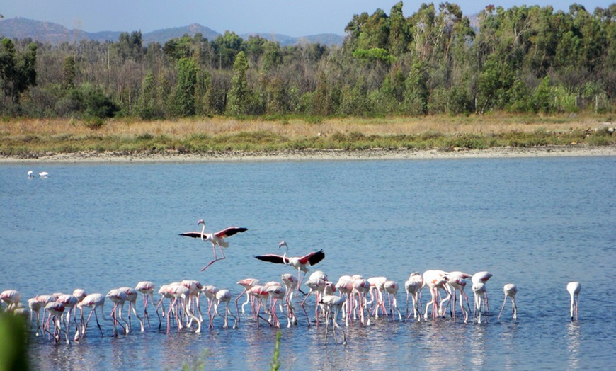 Image 7: Muravera: 4-8 Tage im Naturschutzgebiet an der Küste Sardiniens