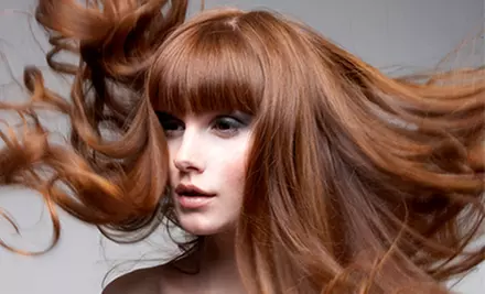 Three Blowouts, Haircut and Color, Balayage Highlights, or a Cut and Inoa-Color Package at Salon Ziba (Up to 53% Off) - Primary Image