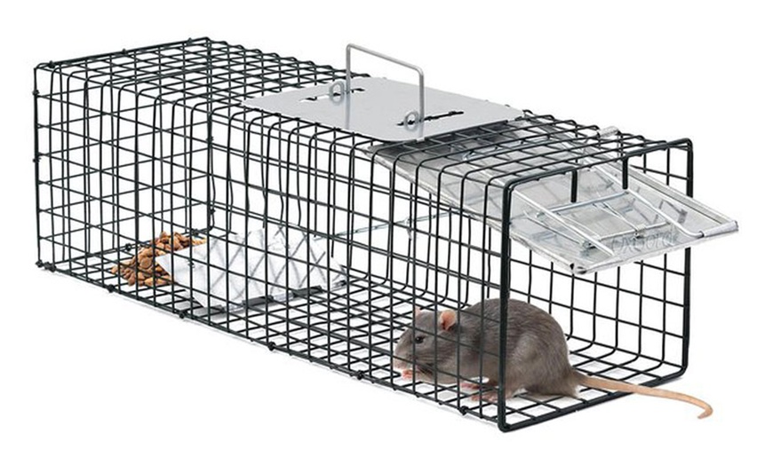 Animal Catch and Release Cage | Groupon