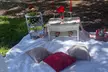 Indulge in Romance Picnic Style for 1-2  or Tea Party Picnic Style for Up to 13 @Partwithmedecor (Up to 34%Off) - Second Medium