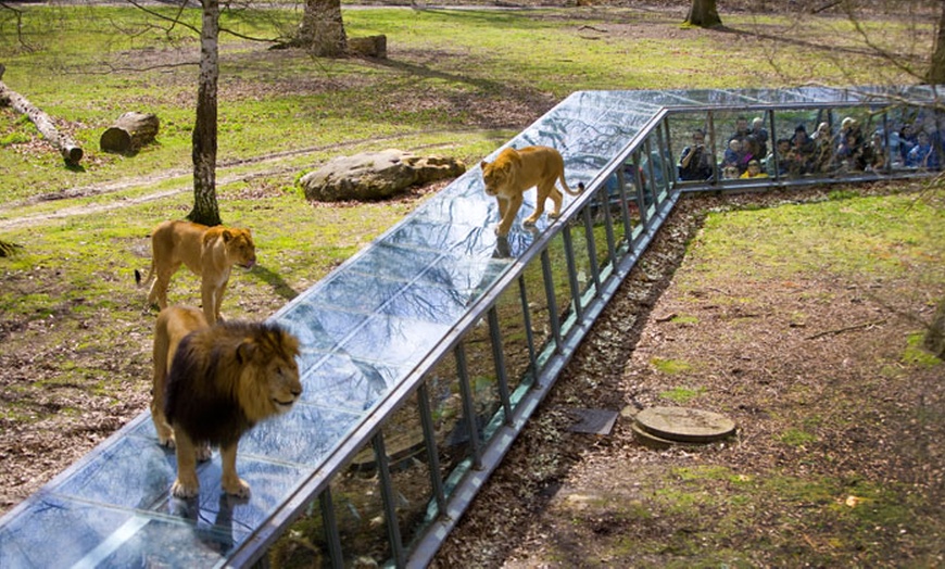 Image 11: Parc de Thoiry, dernières places