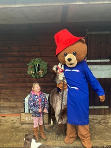 One child: Paddington Playtime Activity - Four Exciting Steps to Fun! (Adult Entrance Free) - Bridge end alpacas