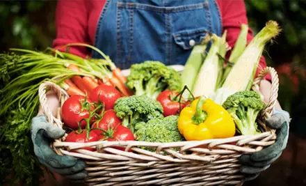 $10 for $20 Worth of Organic Groceries from Eat Green Organics - Primary Image