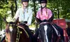 Introductory Horseback-Riding Lesson or 10-Week Winter Riding-Lesson Session at B'N'R Stables (Up to 56% Off)