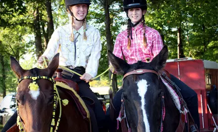 Introductory Horseback-Riding Lesson or 10-Week Winter Riding-Lesson Session at B'N'R Stables (Up to 56% Off) - Primary Image