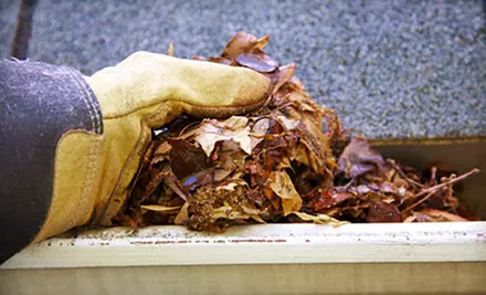 Gutter-Cleaning Services for a One- or Two-Story House from Cen Cal Pressure Washing (Up to 51% Off) - Primary Image