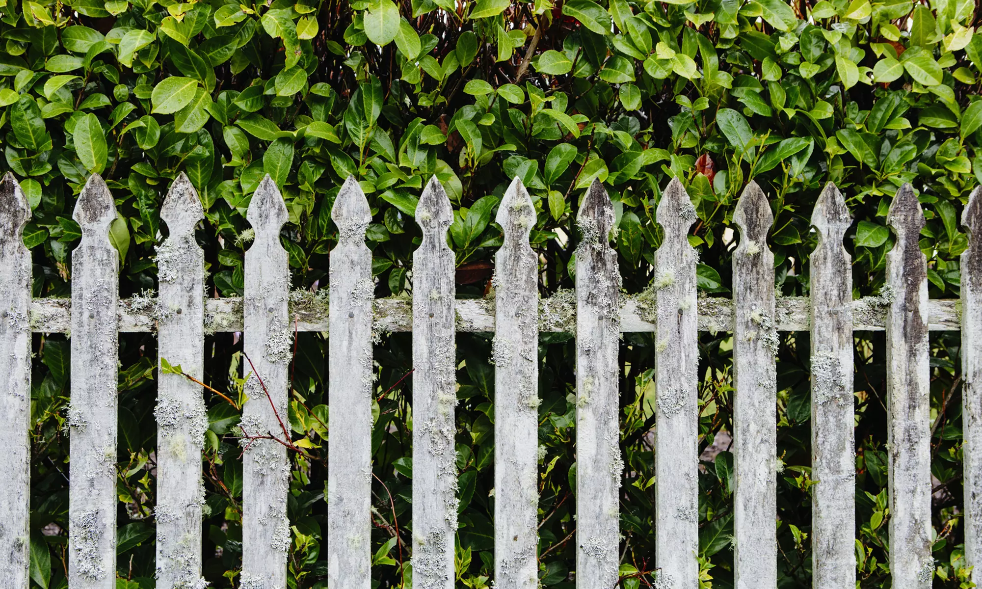 $450 Off $999 Worth of Fence Installation / Repair - Primary Image