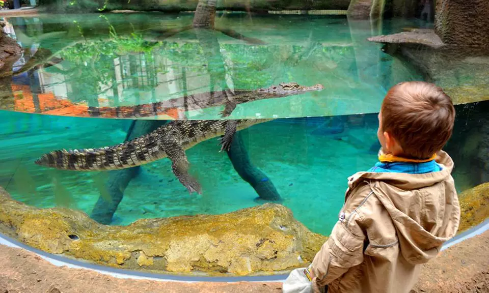 Bilet wstępu do ZOO Wrocław wraz z Afrykarium