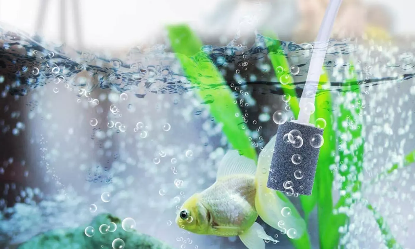 USB Aquarium Mini Oxygen Air Pump Portable Fish Tank Mute Energy Saving Supplies