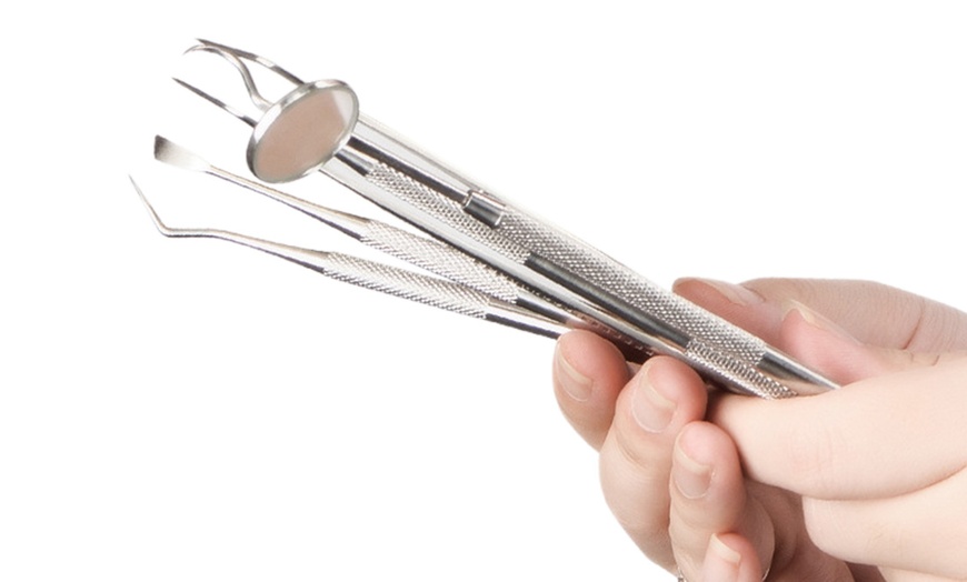 Image 11: 6Pcs Professional Dental Tool Kit