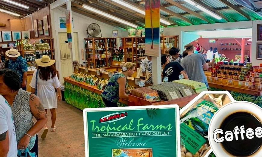 Image 7: Up to 65% Off Oahu Full-Day Island Tour - Aloha Fantasy Tours