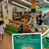 Image 7: Up to 65% Off Oahu Full-Day Island Tour - Aloha Fantasy Tours