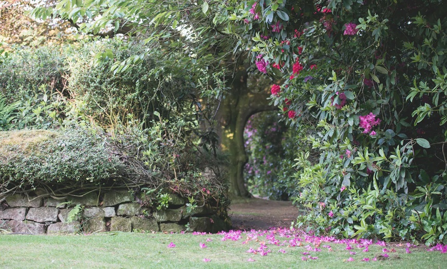 Image 10: Cheshire: Executive Double Room with Breakfast and Bottle of Prosecco