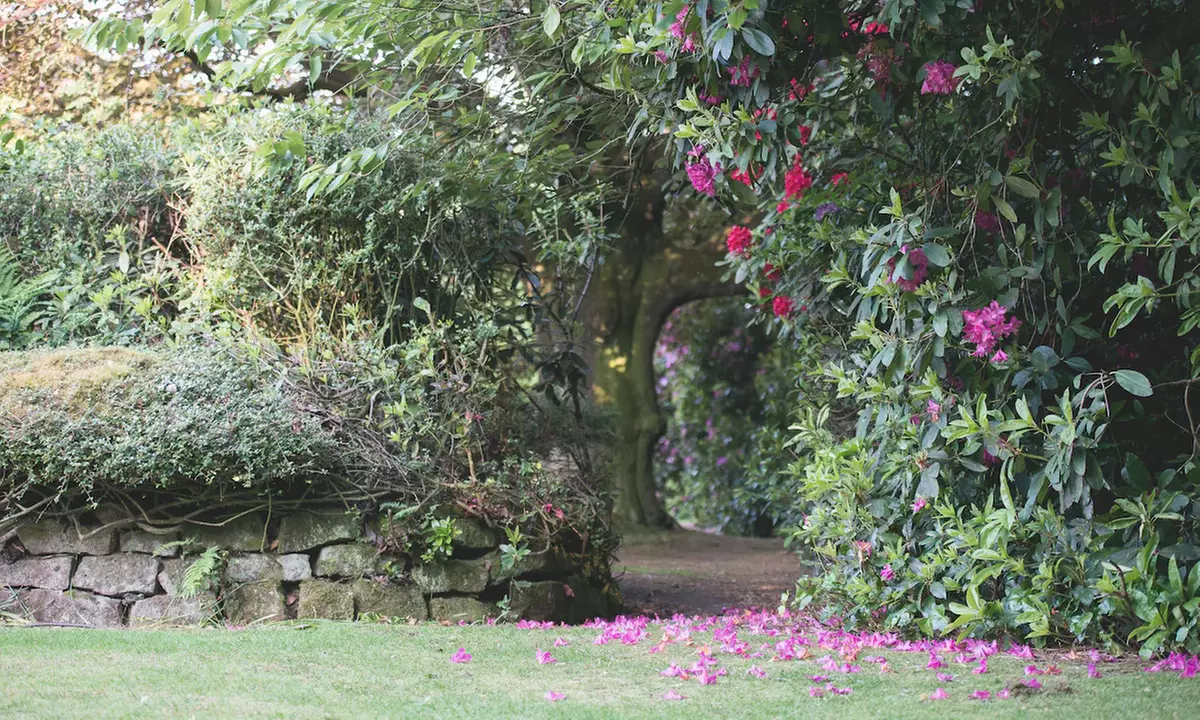 Cheshire: Executive Double Room with Breakfast and Bottle of Prosecco