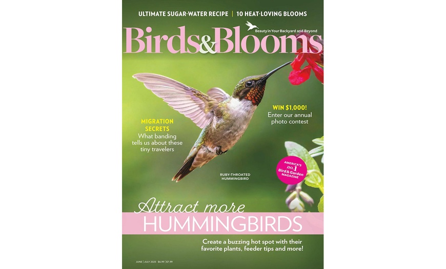 Image 1: $9.93 Off Birds & Blooms Magazine Subscription for One Year
