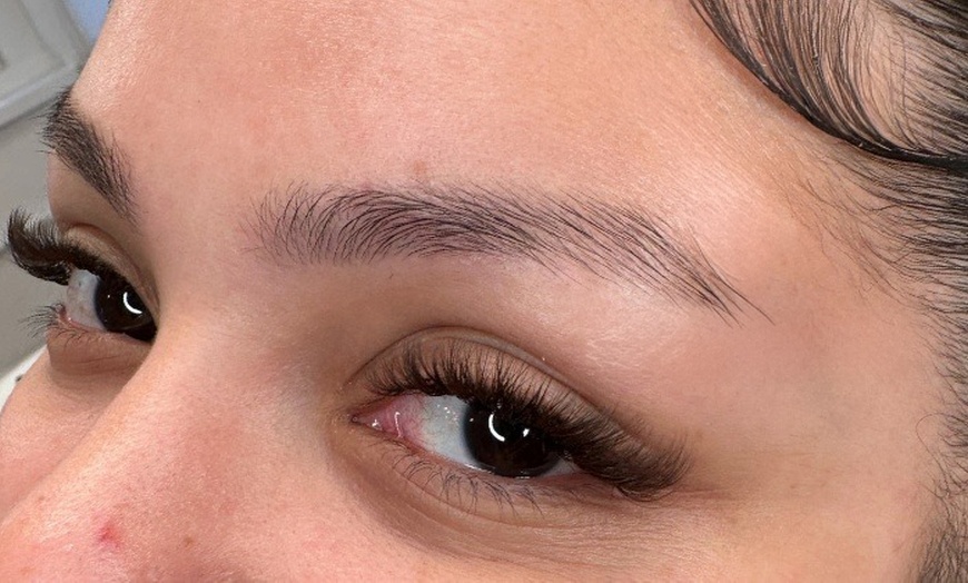 Image 8: Signature Lash Collections: Classic to Mega-Volume at Venus Room