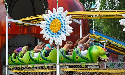 Entrée adulte ou enfant pour le Parc de la Vallée — Valable du 06 au 28 septembre 2025