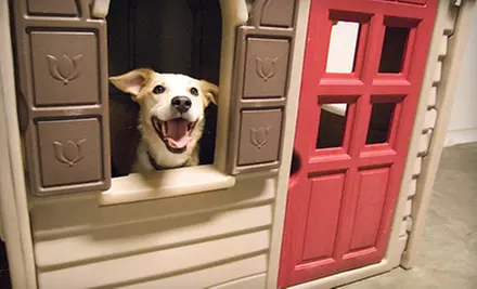$25 for $50 Worth of Pet-Care Services at Care-A-Lot Pet Supply  - Primary Image