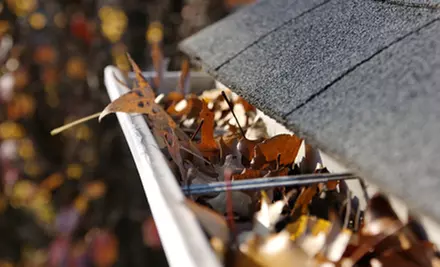 $79 for a Full Gutter Cleaning from Cougar Pressure Washing (Up to $200 Value) - Primary Image