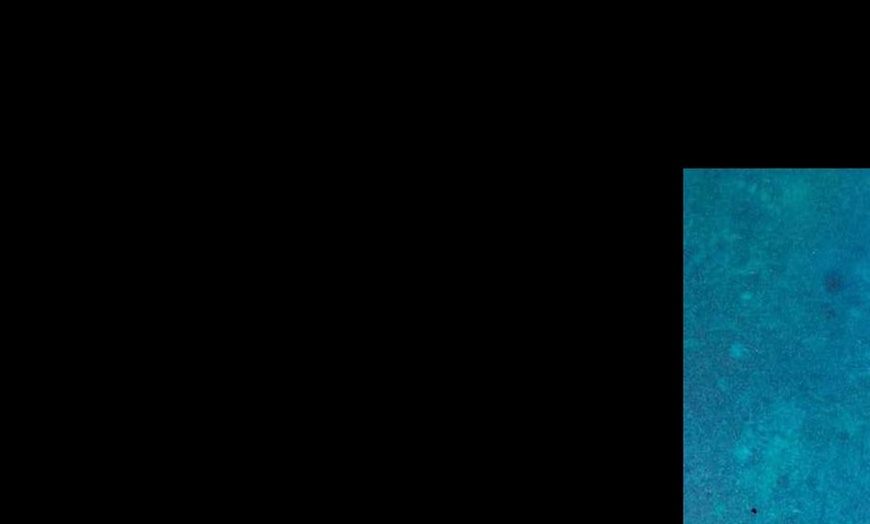 Image 11: Skillets and Small Plates at ⭑★ Sizzling Pub & Grill ★⭑