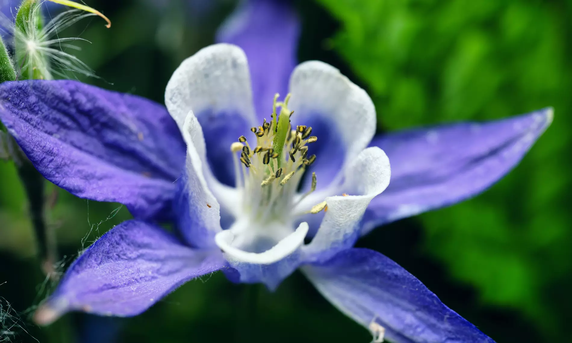 NatureNest borderpakket Nora