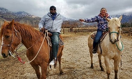 ST PATRICKS DAY HORSEBACK TRAIL ADVENTURE FOR ONE - Starlight Acres