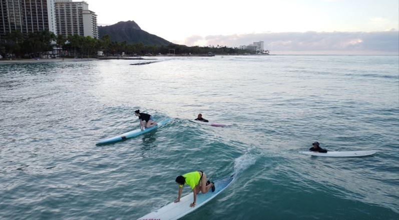 Private Surf Lessons for up to 4 People Near Iconic Waikiki Beach at Moku Hawaii (Up to 20% Off)