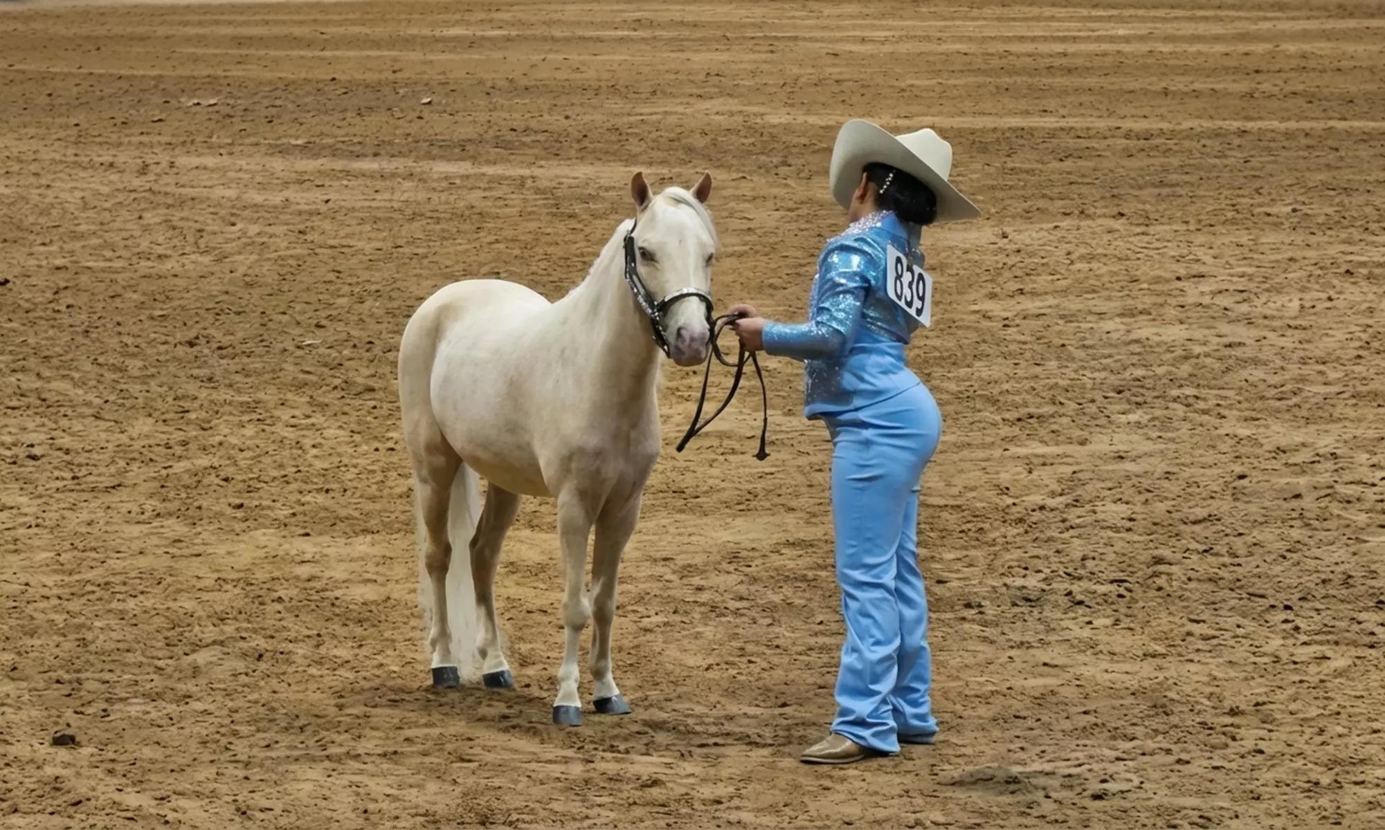 Horseback Riding Lessons Single, Two, or Three Session Options