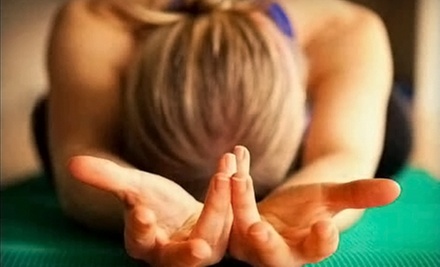 $40 for a One-Hour Massage and Choice of Two Fitness Classes at The Wellness Spot in Highland Park ($140 Value) - Primary Image