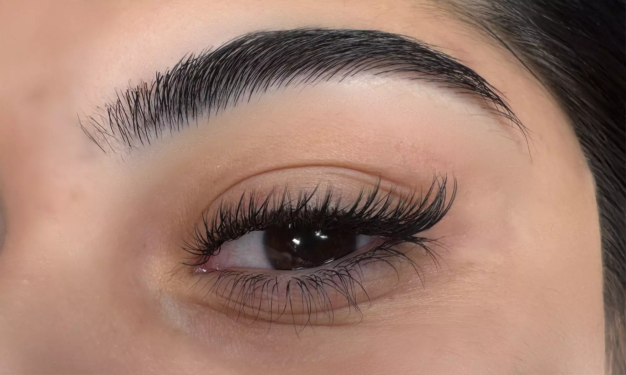 Classic or Volume Full Set of Eyelash Extensions with One Touch-Up