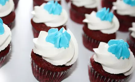 $20 for Two Dozen Mini Cupcakes Including Delivery at So CupCakeable in Cypress (Up to $42 Value)  - Primary Image