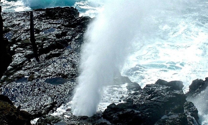 Image 11: Up to 65% Off Oahu Full-Day Island Tour - Aloha Fantasy Tours