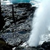 Image 11: Up to 65% Off Oahu Full-Day Island Tour - Aloha Fantasy Tours