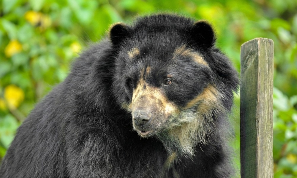 Découvrez plus de 300 animaux au zoo de Maubeuge