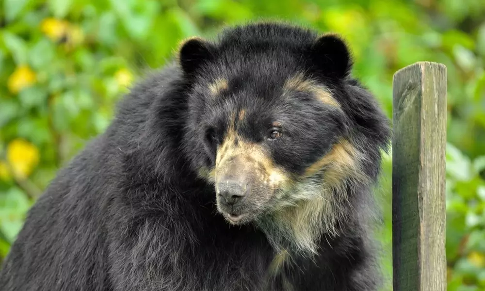 Découvrez plus de 300 animaux au zoo de Maubeuge