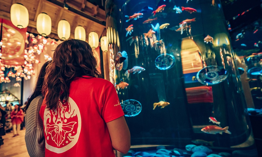 Image 8: Aquarium de Paris : la richesse du monde sous-marin tout l'année