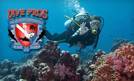$25 for Discover Scuba Lesson at Dive Pros ($69 Value) - Primary Image
