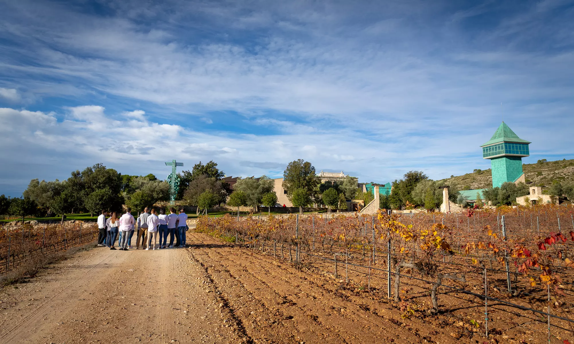 Visita guiada a bodega con cata de 4 vinos, 2 AOVE y embutidos