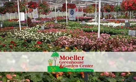 $15 for $30 Worth of Annuals, Perennials, Trees, Shrubs, and More at Moeller Greenhouse & Garden Center - Primary Image